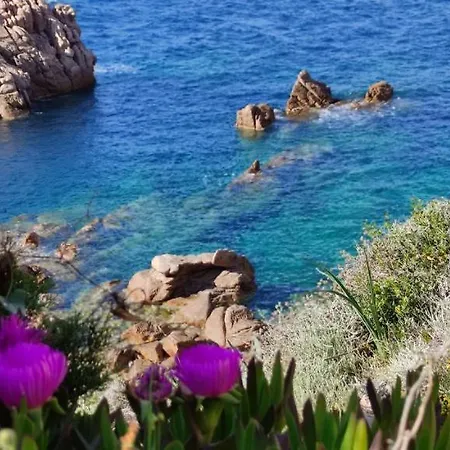 Prázdninový dům Casa Di Maia, Piscina, Posto Auto E Giardino