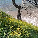 Casa Di Maia, Piscina, Posto Auto E Giardino Ferienhaus